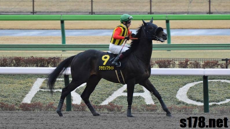 日本賽馬2023