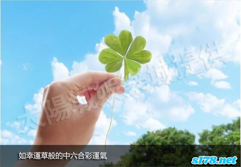 如幸運草般的中六合彩運氣！