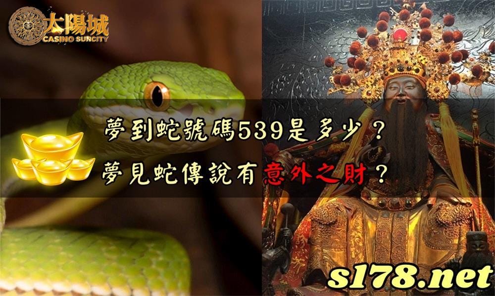 夢到蛇號碼539|看見蛇代表號碼|夢到蛇代表什麼數字？要簽幾號？-太陽城娛樂城