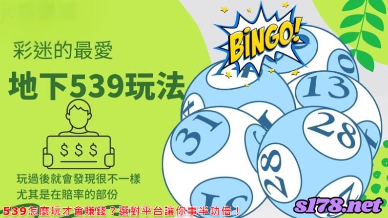 539怎麼玩才會賺錢?選對平台讓你事半功倍!