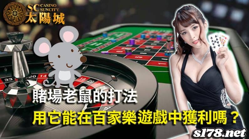 賭場老鼠是什麼│這種打法能順利的在百家樂遊戲中獲利嗎?