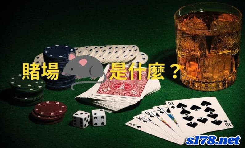 賭場老鼠是什麼?