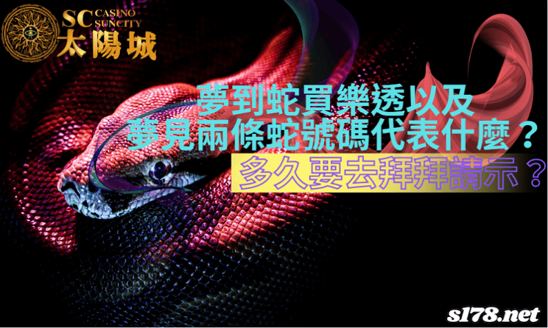夢到蛇買樂透代表什麼號碼？夢見兩條蛇應該多久要去拜拜請示？