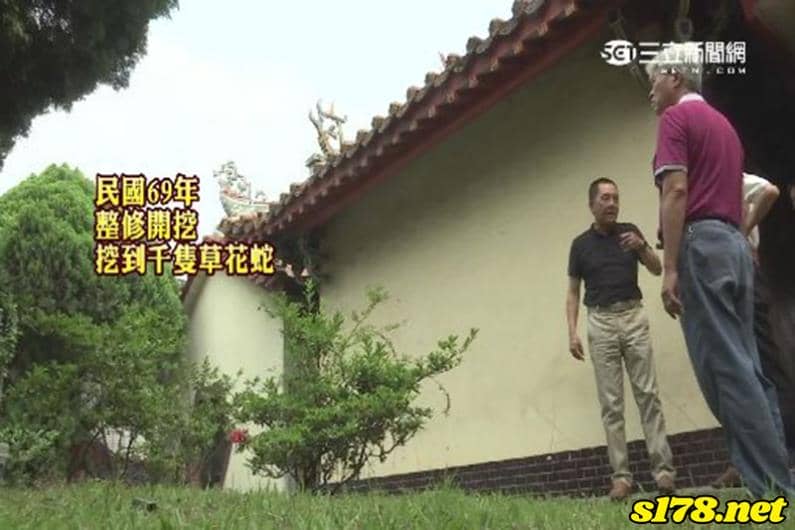 夢見蛇時是土地公要告誡什麼事情嗎？夢到蛇多久要去拜拜？