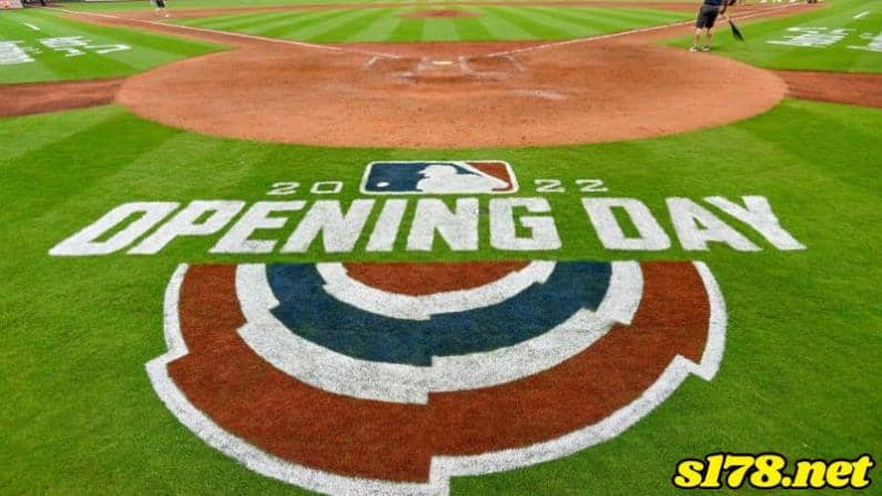 MLB世界大賽哪裡看?