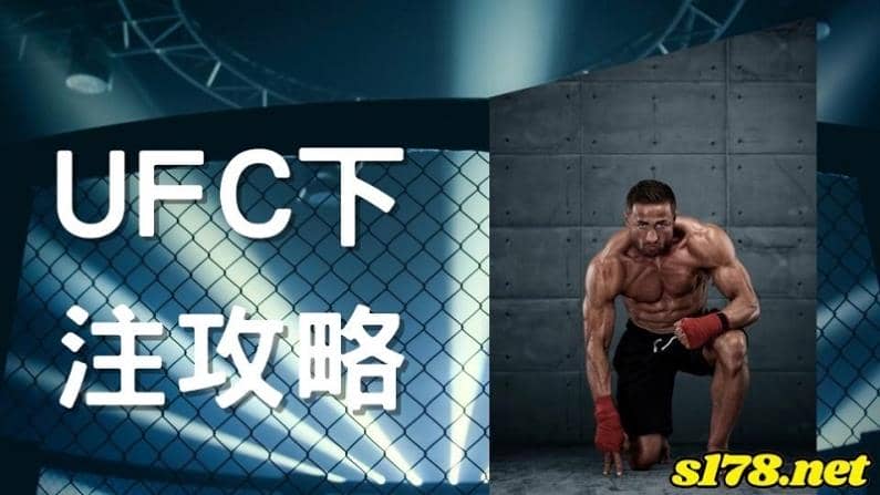 UFC下注