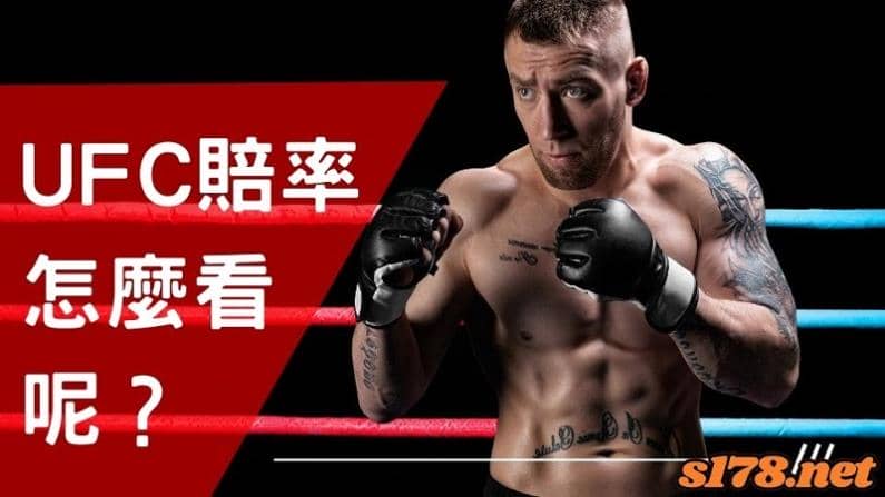 ufc賠率怎麼看