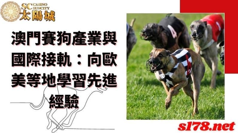 澳門賽狗