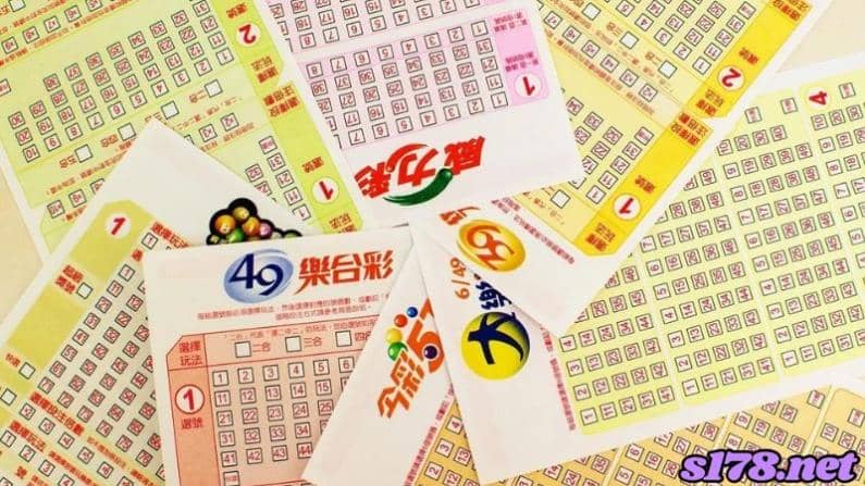 ７）冠軍及特別項目