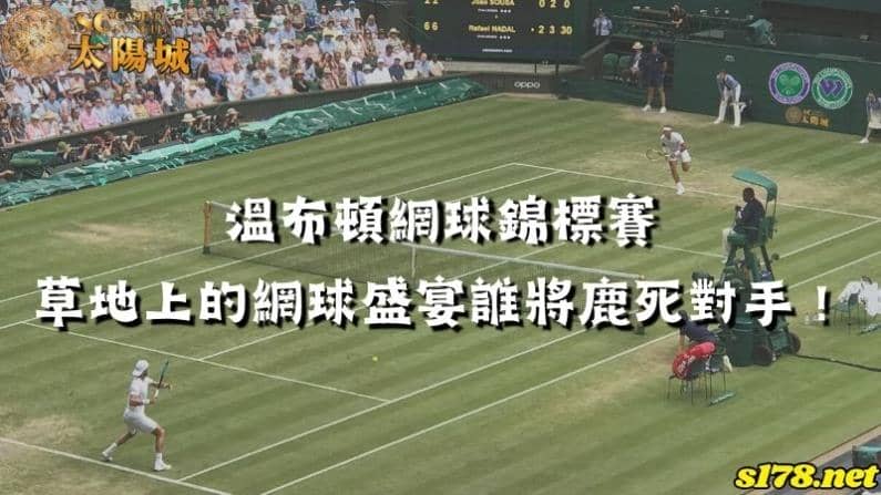 溫布頓網球錦標賽|草地上的網球盛宴誰將鹿死對手!